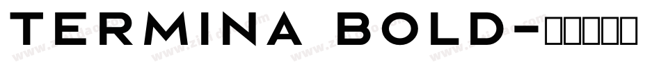 Termina Bold字体转换